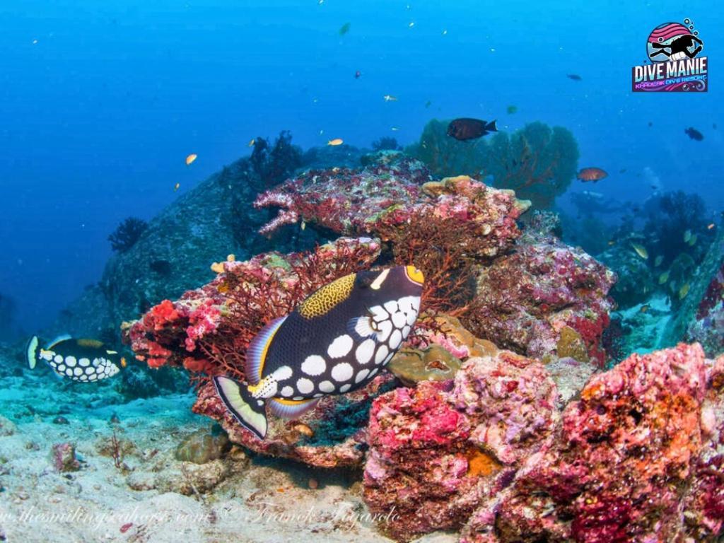 Khaolak Dive Resort Khaulak Kültér fotó