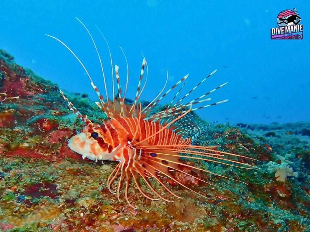 Khaolak Dive Resort Khaulak Kültér fotó